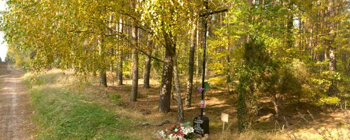 The Place of execution of Home Army soldiers from the 3rd Nieporęt Battalion in Nieporęt Forest