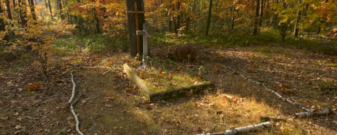 The Mass graves of the nameless victims of German genocide in Legionowo Forests in Jabłonna - 18