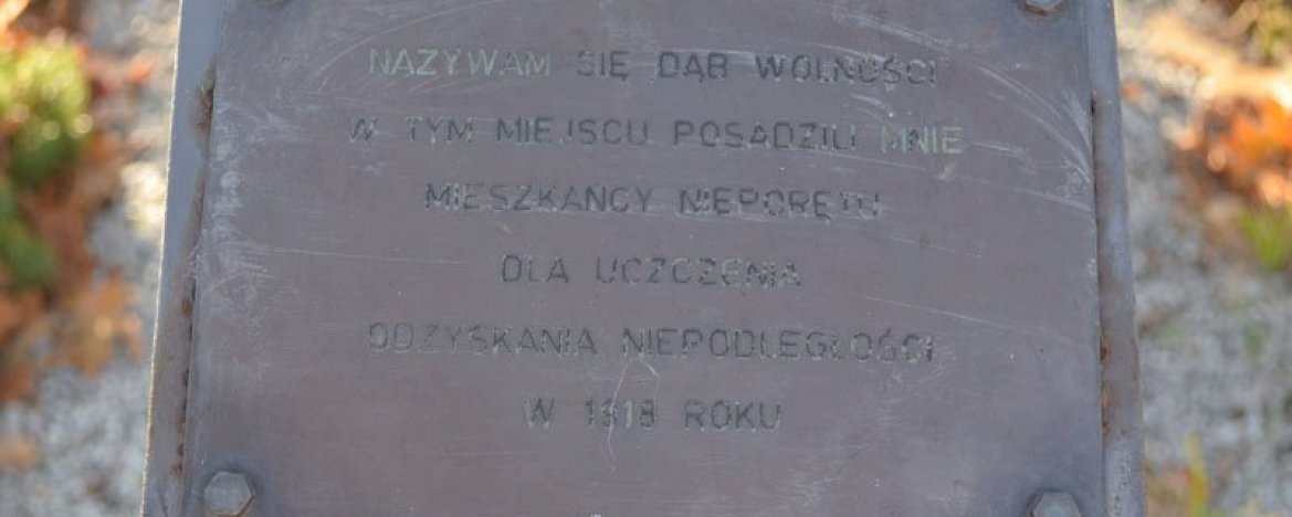 The 'Oak Tree of Freedom' in Nieporęt on the Liberty Sq (Plac Wolności)