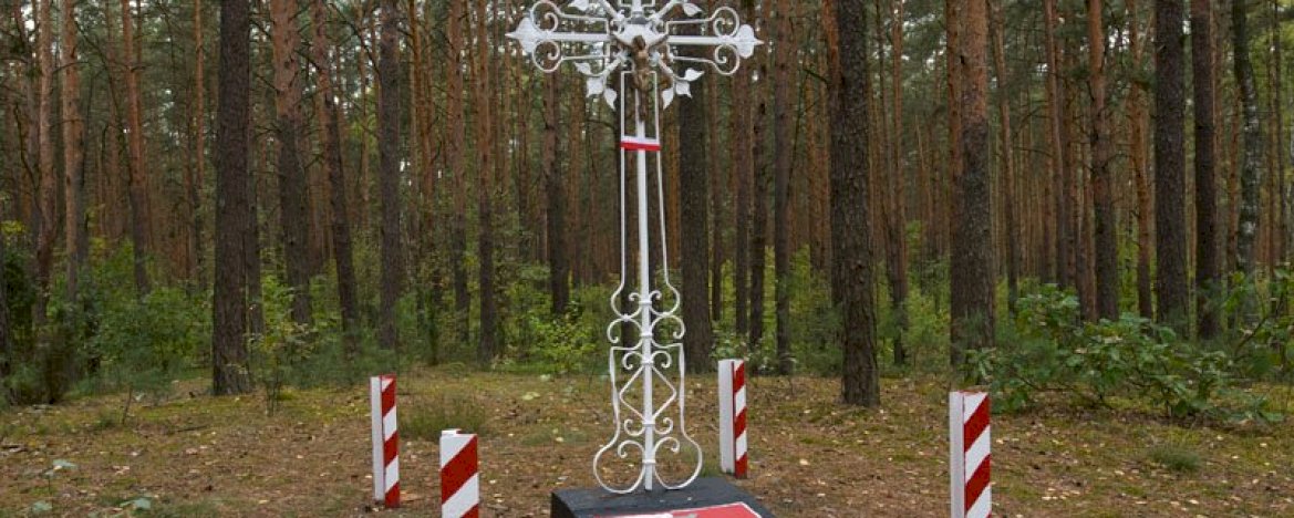 Chotomów Forest Massacre Site Chotomów – a hill in the woods