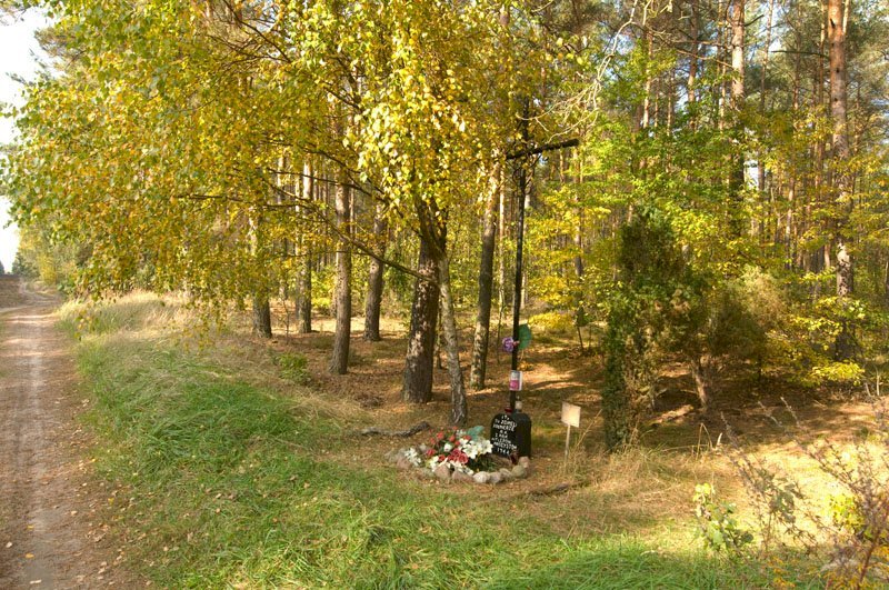 The Place of execution of Home Army soldiers from the 3rd Nieporęt Battalion in Nieporęt Forest