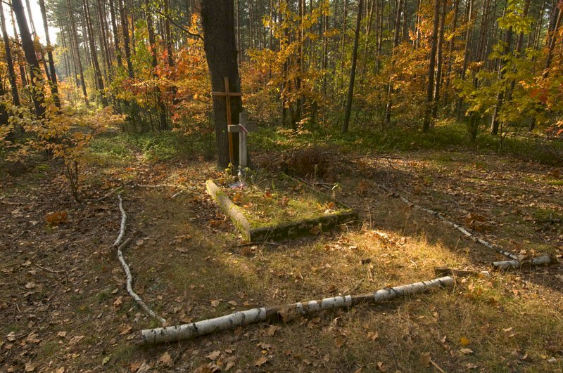 The Mass graves of the nameless victims of German genocide in Legionowo Forests in Jabłonna - 18