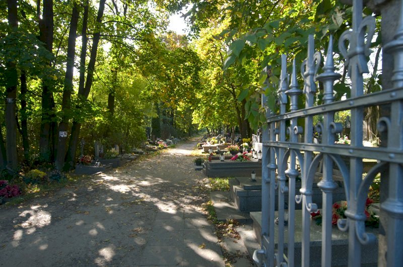 2. Cmentarz parafialny w Chotomowie