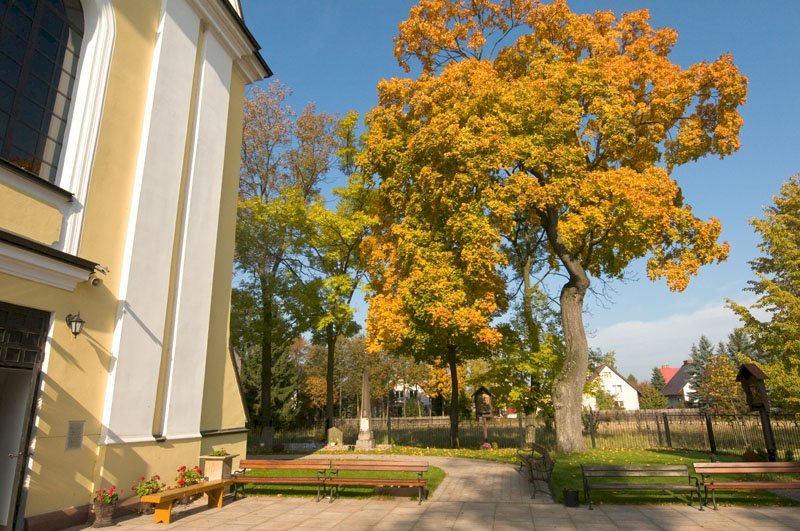 The Parish Church of the Immaculate Conception of the Blessed Virgin Mary in Nieporęt