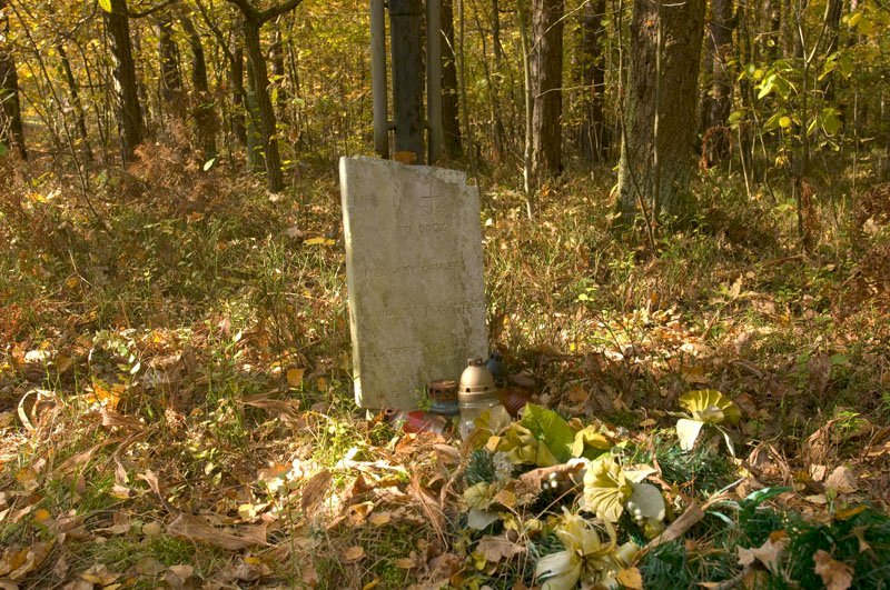 The Tomb of the Unknown Soldier in Czarna Struga on the edge of the reserve “Słupecka Forest”