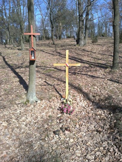 The Mass graves of the nameless victims of German genocide in Legionowo Forests in Jabłonna -17