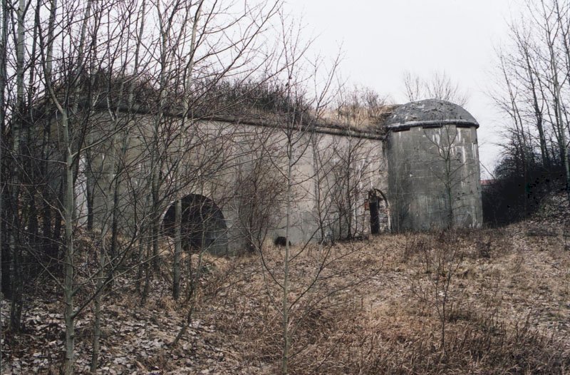 Betonowe umocnienia, widoczne dwa łukowate wejścia, schron pokryty na dachu ziemią, na niej zarośla, przed nim drzewa bez liści