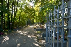 2. Cmentarz parafialny w Chotomowie - #1