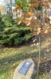 8. Kamienica Konrada Bocka w Serocku przy ul. Wyzwolenia 31 - teren Ośrodka TPD - #2