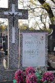 2. Cmentarz parafialny w Chotomowie - #17