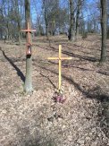 The Mass graves of the nameless victims of German genocide in Legionowo Forests in Jabłonna -17 - #2