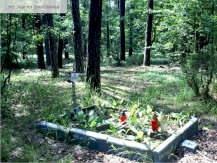 The Mass graves of the nameless victims of German genocide in Legionowo Forests in Jabłonna - 20 - #4