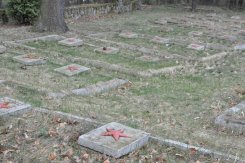 23. Cmentarz jeńców radzieckich w Białobrzegach - #8