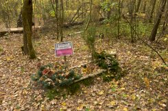 The Mass graves of the nameless victims of German genocide in Legionowo Forests in Jabłonna - 19 - #3