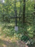 The Tomb of the Unknown Soldier in Czarna Struga on the edge of the reserve “Słupecka Forest” - #3