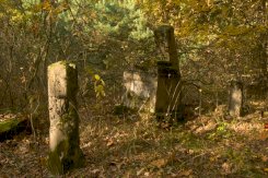 18. Wojskowy cmentarz garnizonowy w  Wieliszewie - #4