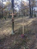 The Mass graves of the nameless victims of German genocide in Legionowo Forests in Jabłonna - 18 - #5