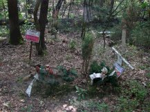 The Mass graves of the nameless victims of German genocide in Legionowo Forests in Jabłonna - 18 - #7